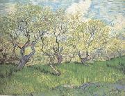 Vincent Van Gogh Orchard in Blossom (nn04) china oil painting reproduction